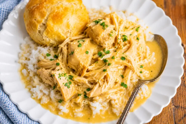 slow-cooker-chicken-and-gravy-hero